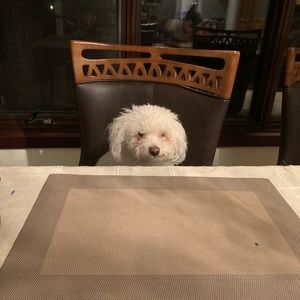 Meet your Posher, Munmun